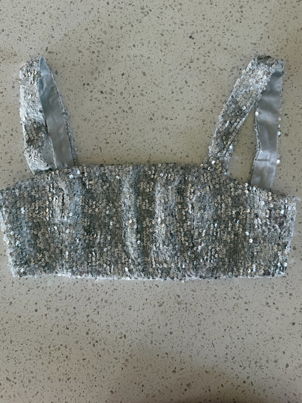 Amanda Uprichard Silver Sequin Crop Top Tish Agnes Festival Y2K S